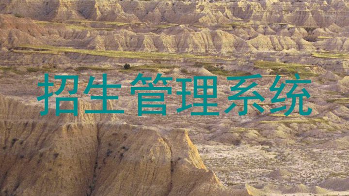 招生管理系统