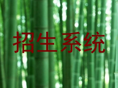 招生系统