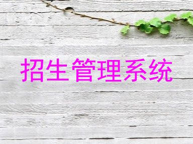 招生管理系统
