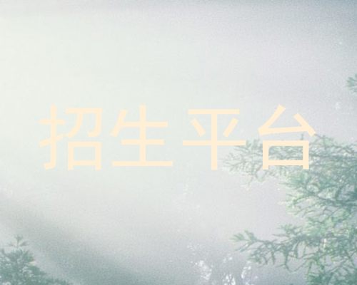 招生平台