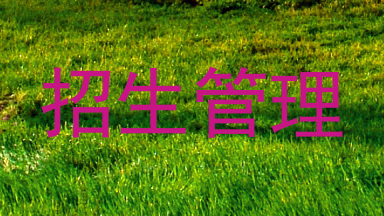 招生管理