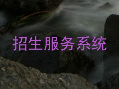 招生服务系统