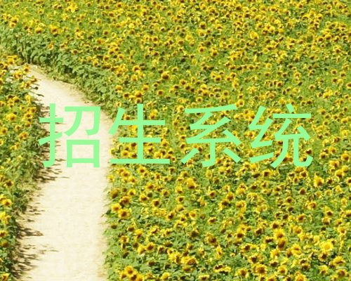 招生系统