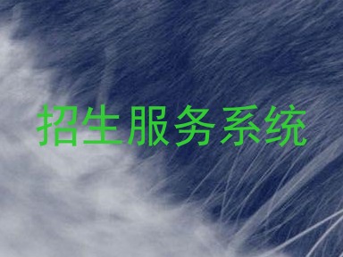 招生服务系统