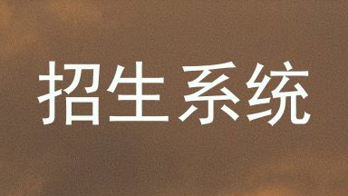 招生系统