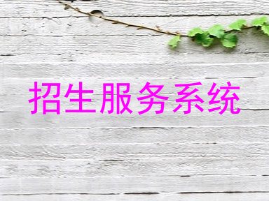 招生服务系统