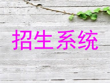 招生系统
