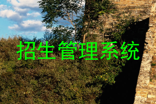 招生管理系统