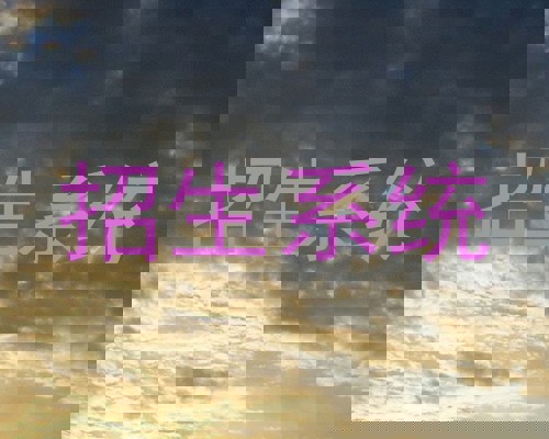 招生系统