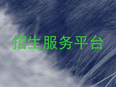 招生服务平台