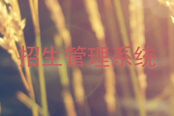 招生管理系统