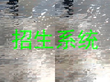 招生系统
