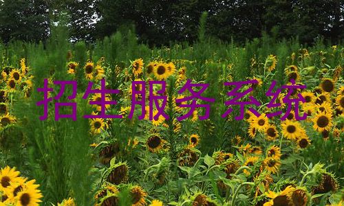 招生服务系统