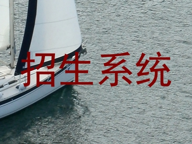 招生系统