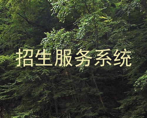 招生服务系统