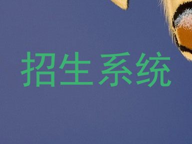 招生系统