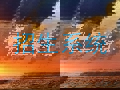 招生系统