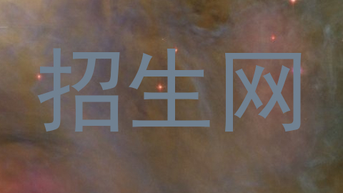招生网
