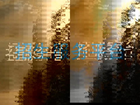 招生服务平台