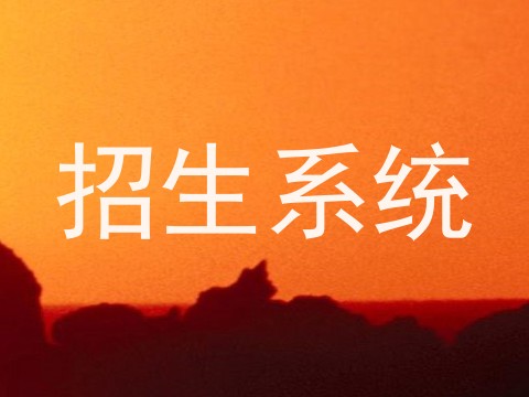 招生系统