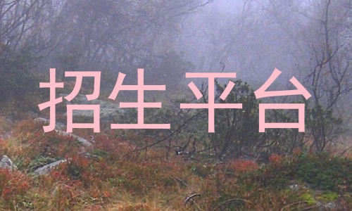 招生平台