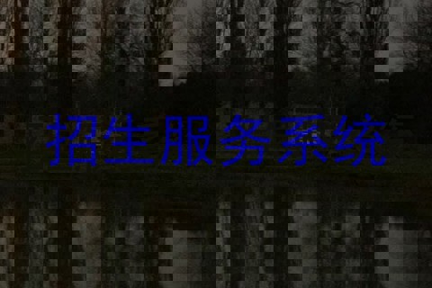 招生服务系统