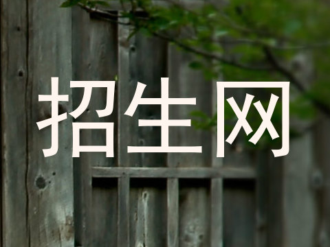 招生网