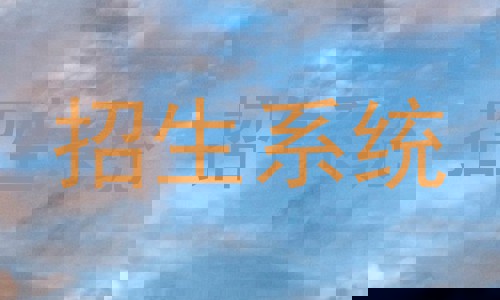 招生系统