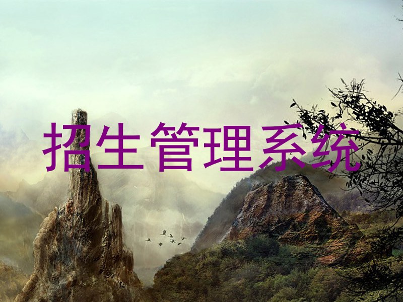 招生管理系统