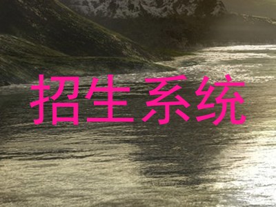 招生系统
