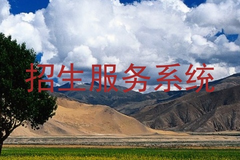 招生服务系统