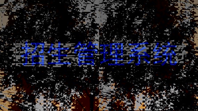 招生管理系统