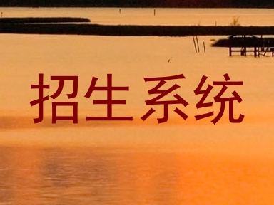 招生系统
