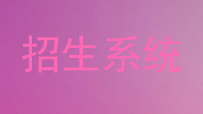 招生系统