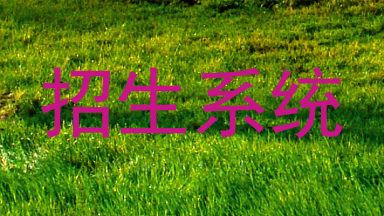 招生系统