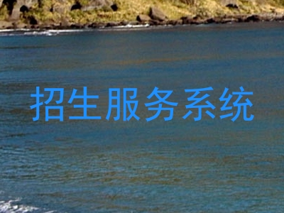 招生服务系统