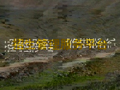 招生管理服务平台