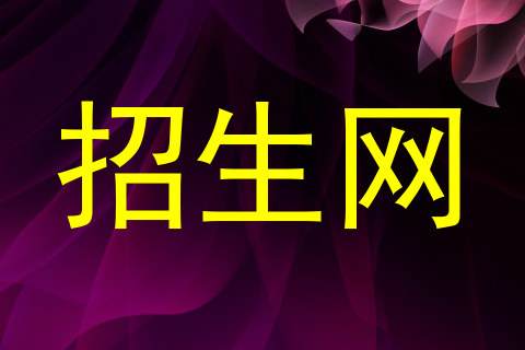 招生网