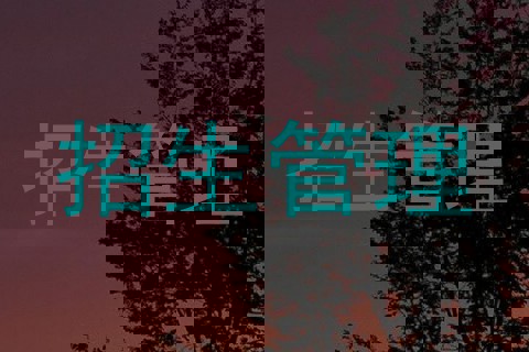 招生管理