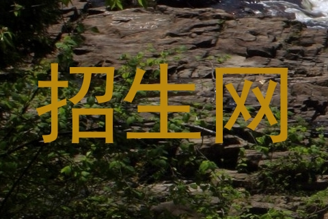 招生网