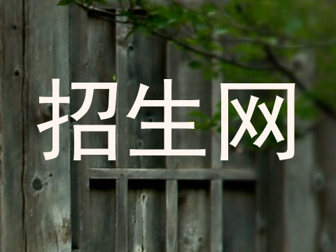 招生网
