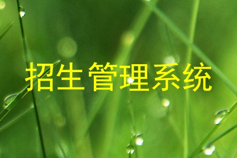 招生管理系统