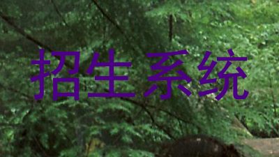 招生系统