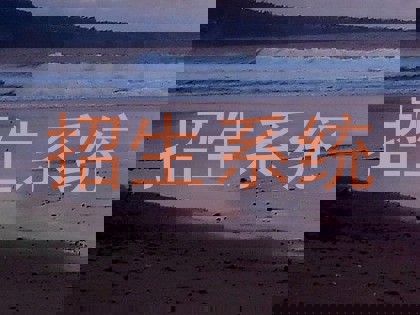 招生系统