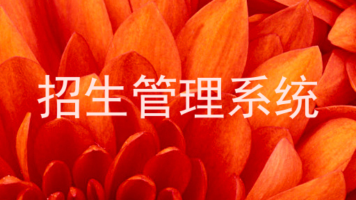 招生管理系统