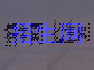 招生网