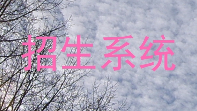 招生系统