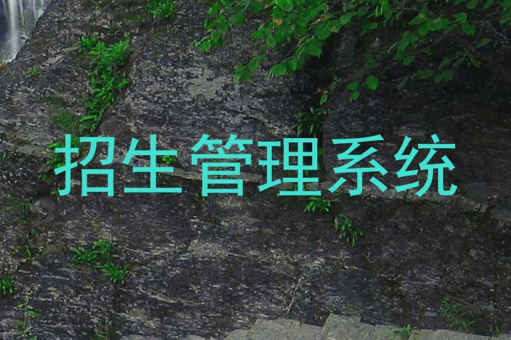 招生管理系统