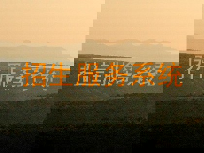 招生服务系统