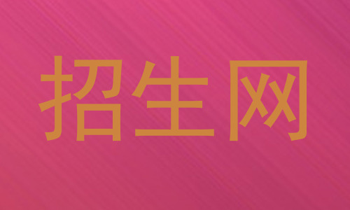 招生网